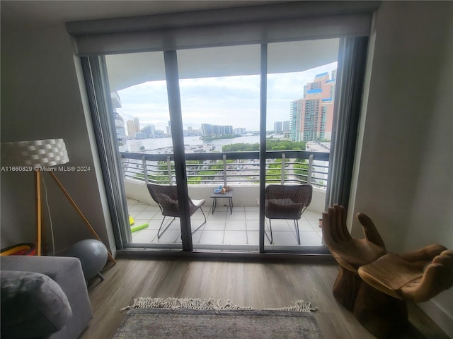 interior space featuring hardwood / wood-style floors and a wealth of natural light