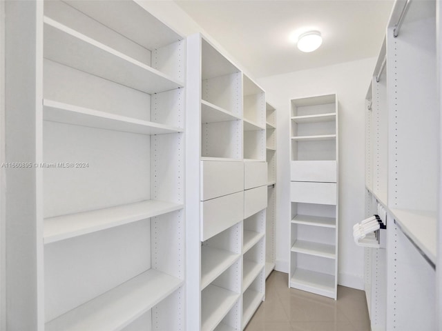 view of spacious closet