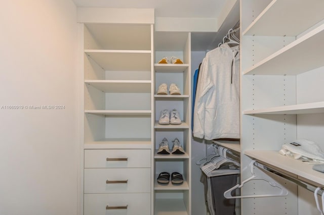 view of spacious closet