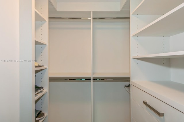 view of walk in closet