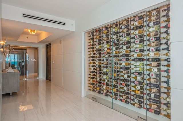 wine cellar with a tray ceiling