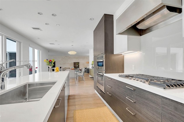 kitchen with dark brown cabinetry, sink, light hardwood / wood-style flooring, ventilation hood, and appliances with stainless steel finishes