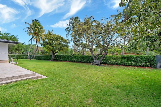 view of yard with a patio area and fence