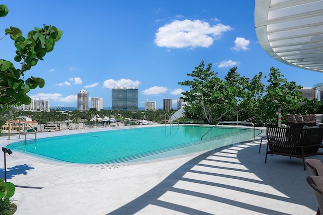 view of swimming pool with a patio