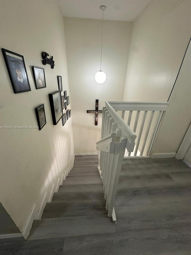 staircase featuring wood-type flooring