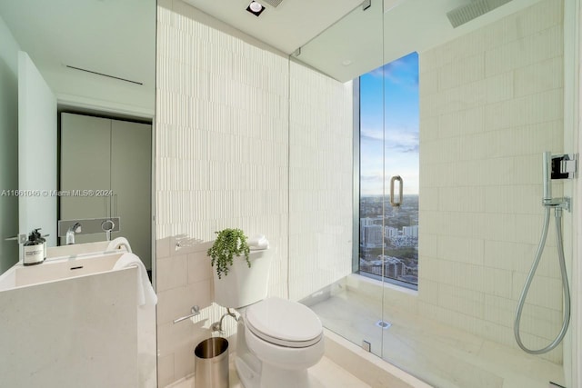 bathroom featuring sink, toilet, a shower with door, and a healthy amount of sunlight