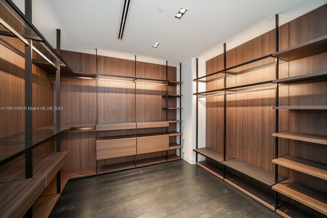 spacious closet with dark hardwood / wood-style flooring