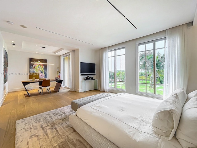 bedroom with light hardwood / wood-style flooring