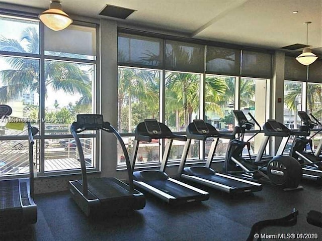 workout area featuring a healthy amount of sunlight