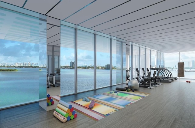 exercise room featuring floor to ceiling windows, wood-type flooring, and a wealth of natural light