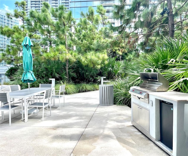 view of patio featuring exterior kitchen