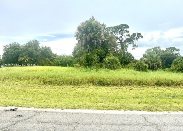 Jabara Cir, LaBelle, FL 33935 - photo 4