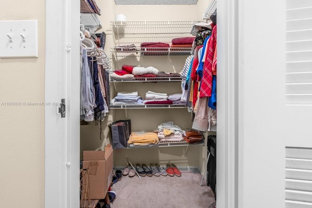 walk in closet with carpet flooring