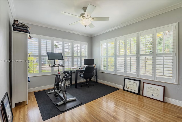 workout room featuring wood-type flooring, ornamental molding, ceiling fan, and plenty of natural light