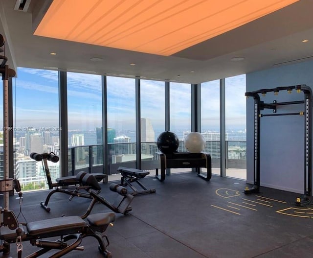 gym with floor to ceiling windows