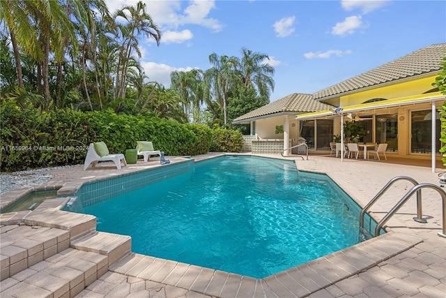 view of swimming pool with a patio