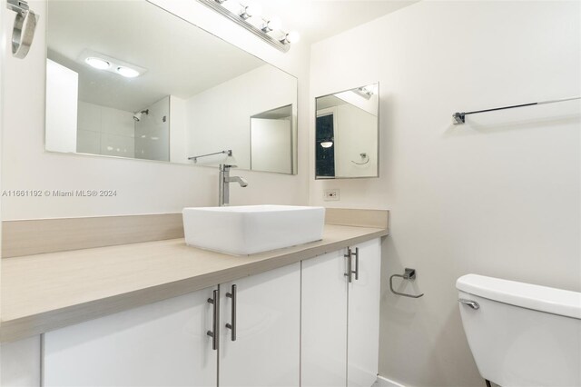 bathroom with a shower, vanity, and toilet