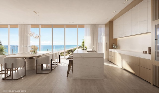 interior space with a wall of windows, light hardwood / wood-style flooring, and a water view