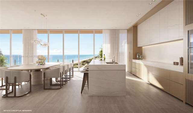 dining room featuring floor to ceiling windows, a healthy amount of sunlight, and light wood finished floors