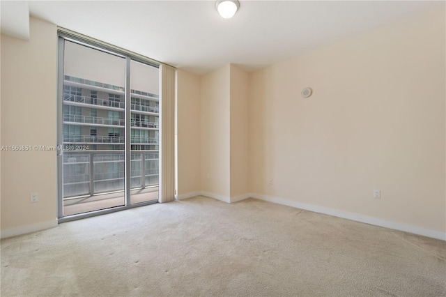 spare room with light colored carpet