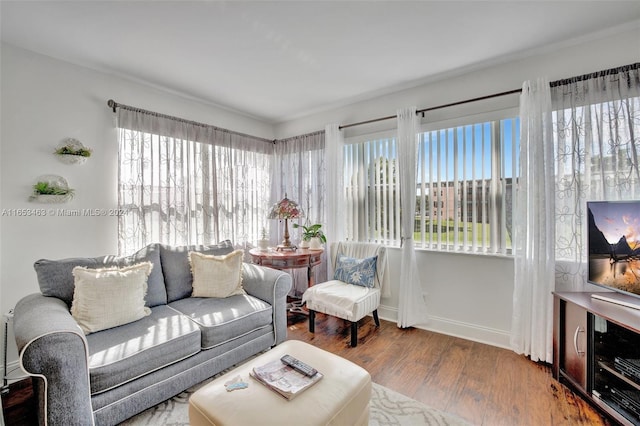 living room featuring hardwood / wood-style flooring