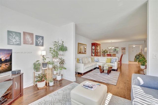 living room with a chandelier and hardwood / wood-style flooring