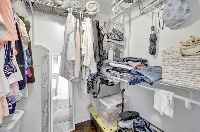 spacious closet with dark hardwood / wood-style flooring