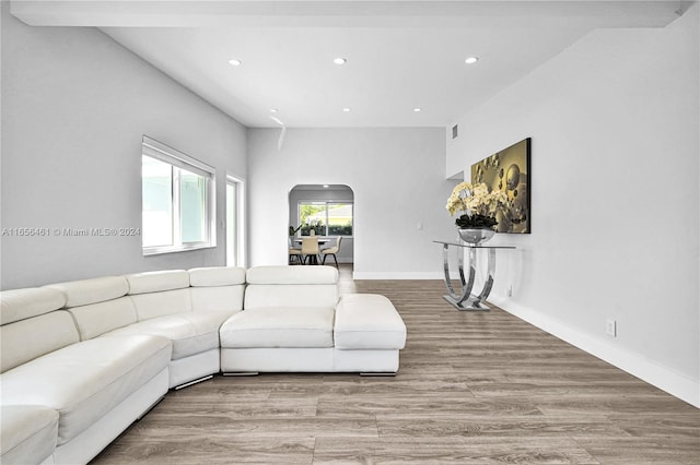 living room featuring hardwood / wood-style flooring