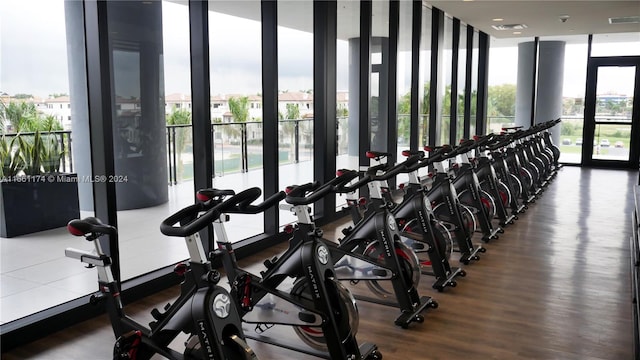 exercise room with expansive windows, hardwood / wood-style flooring, and a wealth of natural light