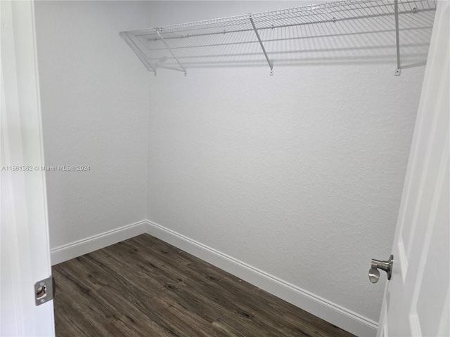 walk in closet with dark wood-type flooring