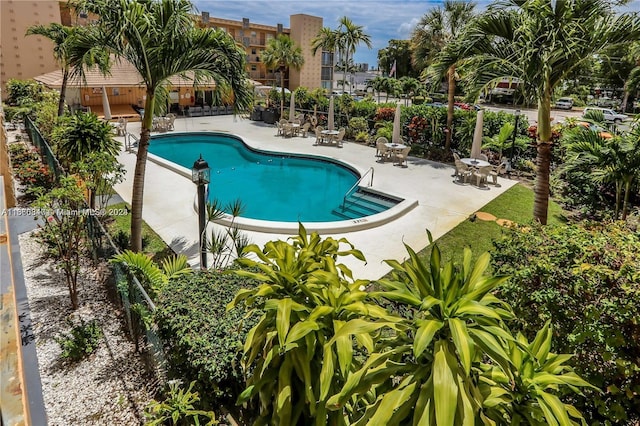 view of pool featuring a patio area