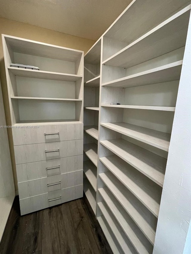 walk in closet with dark hardwood / wood-style flooring