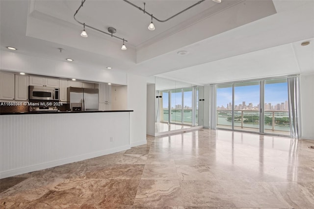 kitchen with stainless steel appliances, a raised ceiling, and plenty of natural light