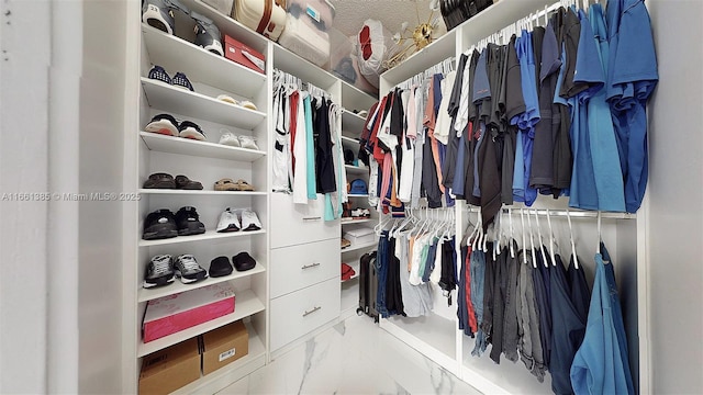 view of walk in closet