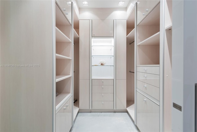 view of walk in closet