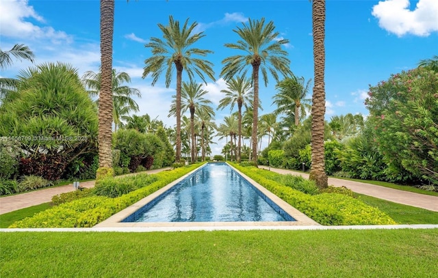 view of swimming pool featuring a yard