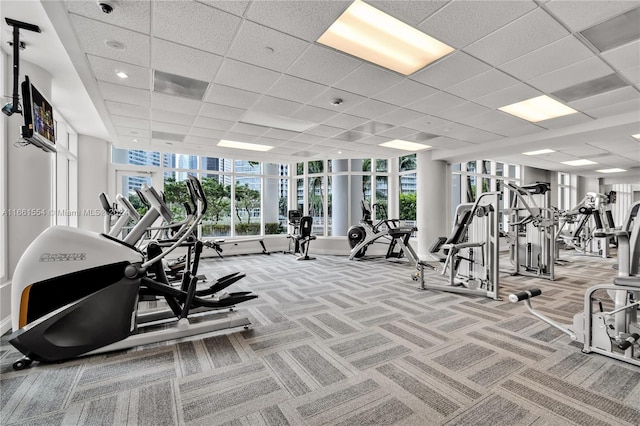 gym featuring a paneled ceiling and carpet flooring