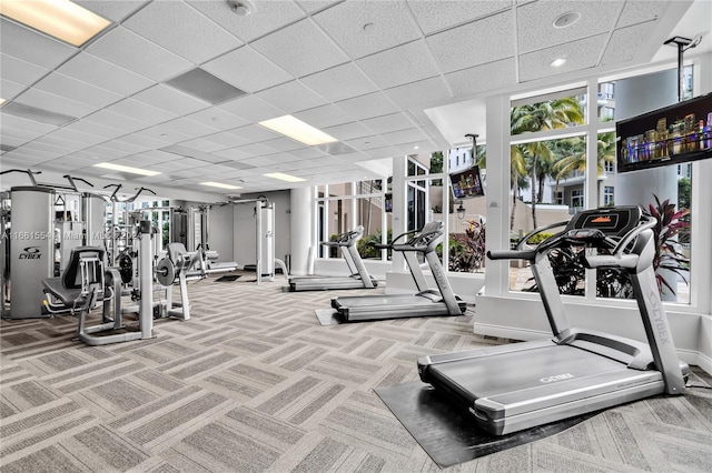 gym with carpet floors and a paneled ceiling