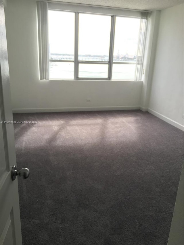 carpeted empty room featuring a healthy amount of sunlight