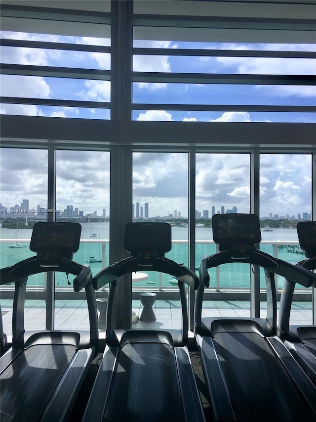 workout area featuring a water view and a wealth of natural light