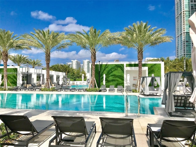 view of swimming pool with a patio