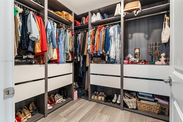 spacious closet featuring wood finished floors