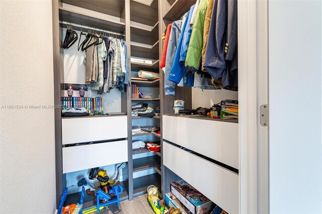 view of spacious closet