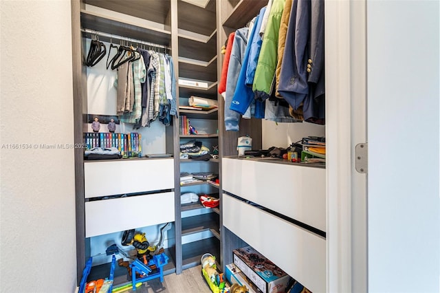 spacious closet with wood finished floors