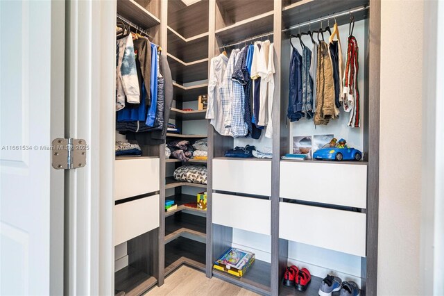 walk in closet with hardwood / wood-style flooring