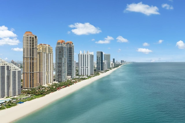 property view of water featuring a beach view