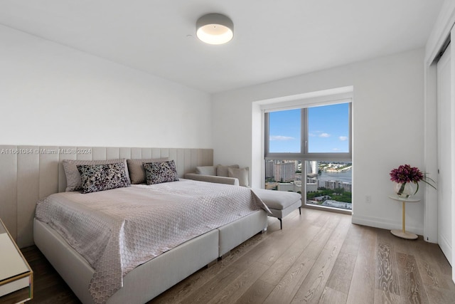 bedroom featuring wood-type flooring