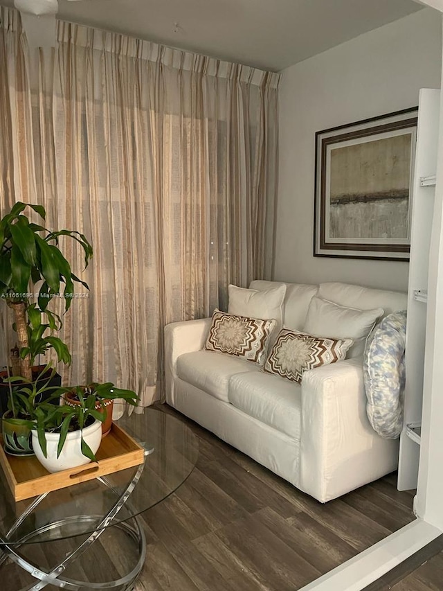 living room featuring dark wood-type flooring