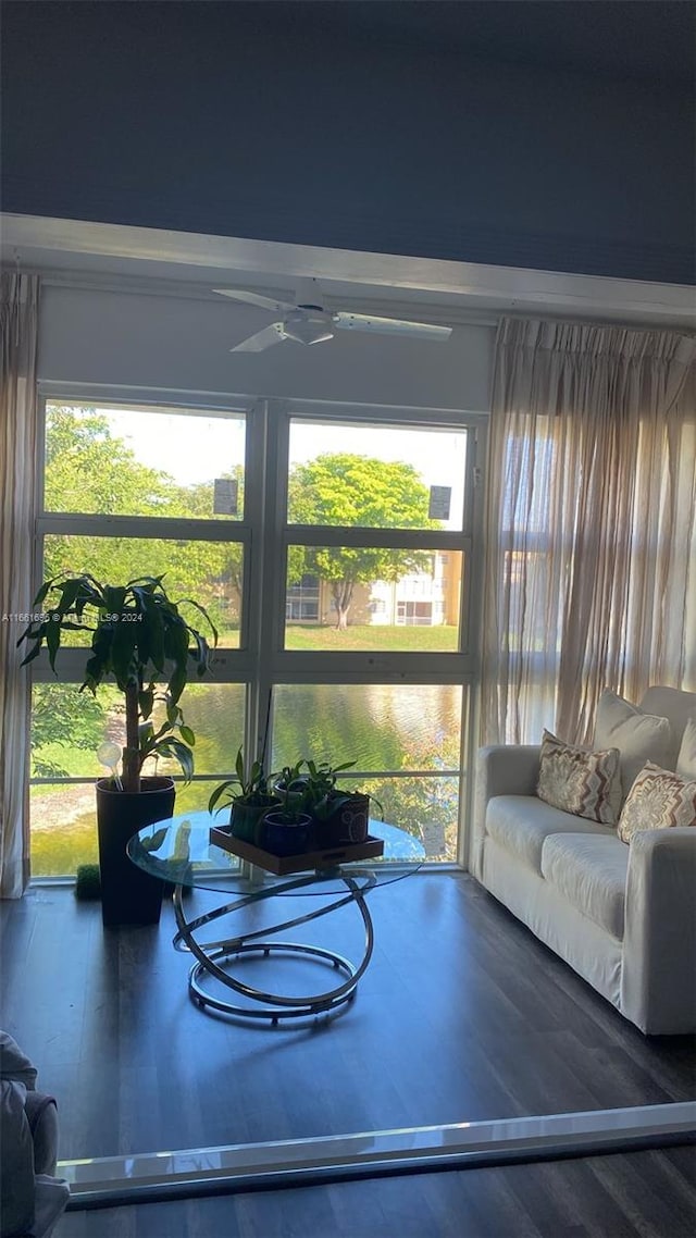 dining area with ceiling fan and hardwood / wood-style flooring