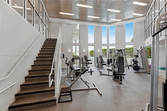 gym featuring a towering ceiling